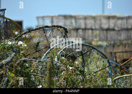 Alte Hummer und Krabben Töpfe an der Hastings Beach. Stockfoto
