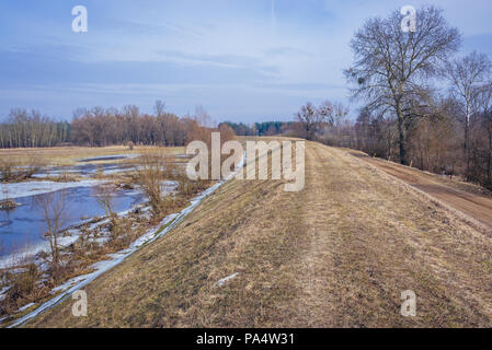 Erde Bank von Narew Fluss, ein rechter Nebenfluss der Weichsel in Legionowo County, Woiwodschaft Masowien in Polen Stockfoto