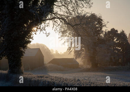 Goldenes Sonnenlicht durch Baum Lücke mit alten Gebäuden mit Frost oder Schnee auf dem Boden kommenden Stockfoto