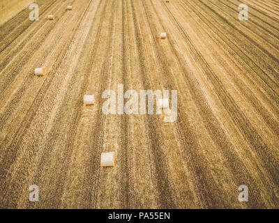 Runde Heuballen auf der Arbeitsscheinwerfer zur Kontrolle der Schnitthöhe Stockfoto