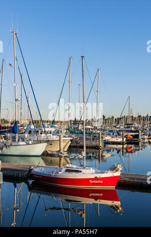 Boote in Squalicum Hafen, Bellingham, Washington State, USA. Stockfoto