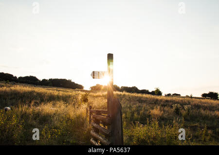 Eine hölzerne Wegweiser auf einen Sommer Abend mit der Sonne erzeugen eine künstlerische lens flare Stockfoto