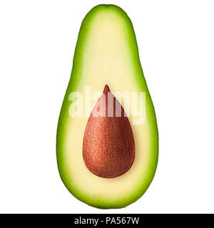 Avocado halbieren, Samen, Freisteller, auf Rückseite weiß, isoliert Stockfoto