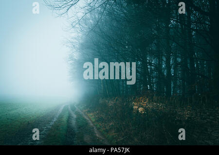 Einer nebligen Wintertag entlang einem Pfad auf bredon Hügel in der englischen Landschaft mit einem atmosphärischen, Moody bearbeiten. Stockfoto