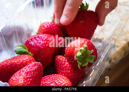 Jemand herauf eine Erdbeere aus einem Behälter. Stockfoto