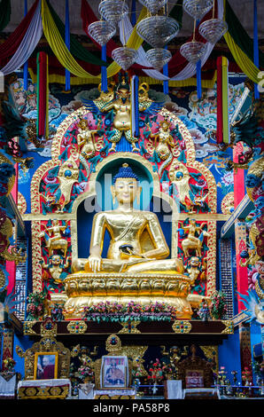 Goldene Statue von Buddha Padmasambhava buddhistischen Vihara in Namdroling Kloster in Mysore, Bezirk, Karnataka, Indien Stockfoto