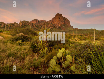 Sonnenaufgang in Big Bend Nationalpark Stockfoto