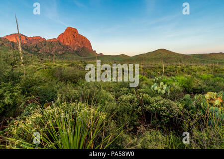 Sonnenaufgang in Big Bend Nationalpark Stockfoto