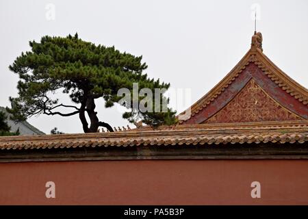 Rote Wände und verzierten Giebel sind klassische Architektur in der Verbotenen Stadt in Peking, China. Stockfoto