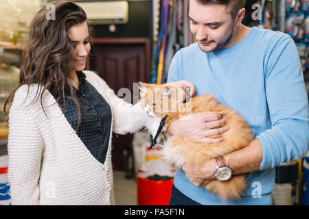 Junges Paar mit ihren Perser Katze in Pet Shop. Stockfoto