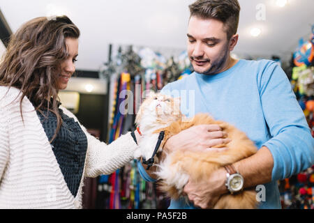 Junges Paar mit ihren Perser Katze in Pet Shop. Stockfoto