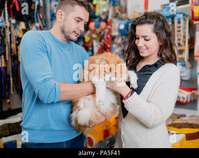 Junges Paar mit ihren Perser Katze in Pet Shop. Stockfoto