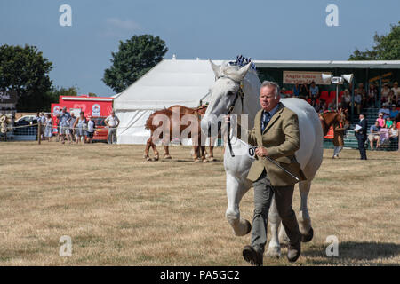 Tendring Essex UK - 14. Juli 2018: Mann mit großen weißen Shire Horse in der Landwirtschaft zeigen Stockfoto