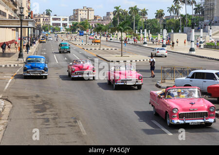 Amerikanische Oldtimer, Oldtimer-Taxis mit Touristen und Besuchern auf dem Paseo de Marti in Havanna, Kuba Stockfoto