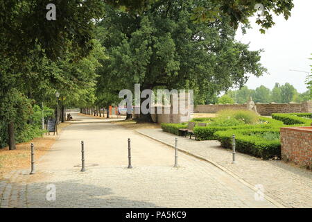 Romanische Straße. Straße der Romanik. Stockfoto