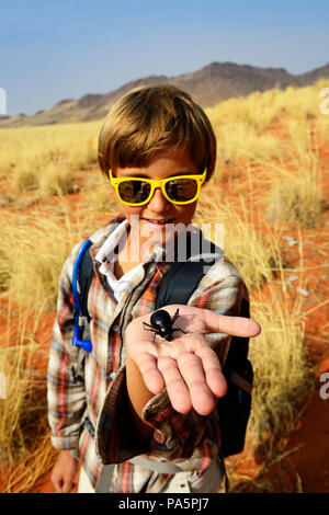 Junge hält einen schwarzen Käfer in der Hand, Namib Wüste Käfer (Onymacris Gladiolus), Namib Rand Nature Reserve Stockfoto