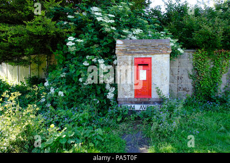 Mauereinputz Letter Box von blühenden Pflanzen umgeben Stockfoto