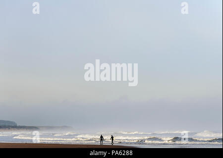 16-11-14 Tyninghame Beach, North Berwick, East Lothian, Schottland, Großbritannien, zwei Surfer in nassen Anzüge laufen und Suche nach Wellen. Foto: © Simon Grosset Stockfoto