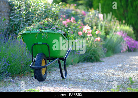 Grüne Schubkarre in einem englischen Garten. Stockfoto