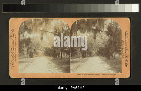 592 Antrieb im Bonaventure Cemetery, Savannah, GA (Nypl b 11707429 - G90 F152 087 W) Stockfoto
