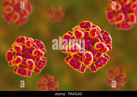 Hepatitis E Virus (HEV), computer Abbildung. HEV Partikel (Virionen) bestehen aus einer äusseren Proteinmantel (Kapsid) begrenzenden RNA (Ribonukleinsäure), das genetische Material des Virus. Infektion mit HEV die Entzündung der Leber und Gelbsucht (Gelbfärbung der Augen und der Haut). Hepatitis E ist besonders gefährlich für schwangere Frauen. Stockfoto