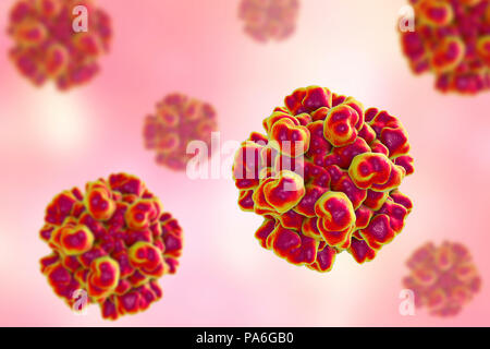 Hepatitis E Virus (HEV), computer Abbildung. HEV Partikel (Virionen) bestehen aus einer äusseren Proteinmantel (Kapsid) begrenzenden RNA (Ribonukleinsäure), das genetische Material des Virus. Infektion mit HEV die Entzündung der Leber und Gelbsucht (Gelbfärbung der Augen und der Haut). Hepatitis E ist besonders gefährlich für schwangere Frauen. Stockfoto