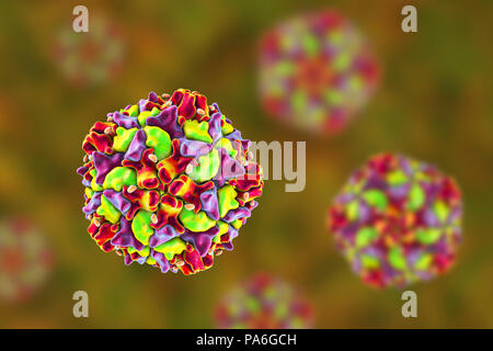 Polio virus Partikel, computer Abbildung. Polio Viruspartikel (Virionen) bestehen aus einer äusseren Proteinmantel (Kapsid) begrenzenden RNA (Ribonukleinsäure), das genetische Material des Virus. Polio Virus verursacht Poliomyelitis, eine Krankheit, zerstört die motorischen Neuronen (Nervenzellen), die Muskeln für das Schlucken, Kreislauf, Atmung, Leib und Bewegung. Fälle um 99% seit 1988 dank der globalen Anstrengungen zur Tilgung der Seuche gefallen. Stockfoto