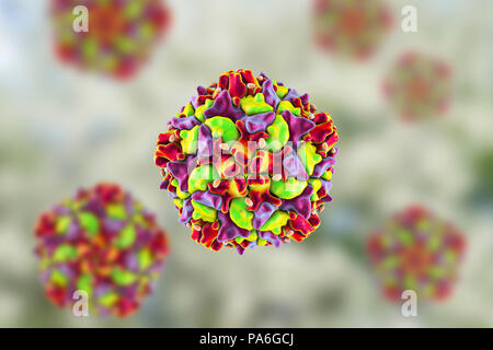 Polio virus Partikel, computer Abbildung. Polio Viruspartikel (Virionen) bestehen aus einer äusseren Proteinmantel (Kapsid) begrenzenden RNA (Ribonukleinsäure), das genetische Material des Virus. Polio Virus verursacht Poliomyelitis, eine Krankheit, zerstört die motorischen Neuronen (Nervenzellen), die Muskeln für das Schlucken, Kreislauf, Atmung, Leib und Bewegung. Fälle um 99% seit 1988 dank der globalen Anstrengungen zur Tilgung der Seuche gefallen. Stockfoto