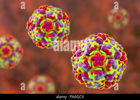 Rhinovirus, computer Abbildung. Die rhinovirus Infekte der oberen Atemwege und ist die Ursache für die allgemeine Kälte. Es wird durch Husten und Niesen verbreitet. Stockfoto