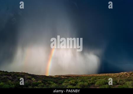 Microburst mit starkem Regen und Hagel von einem Monsun-Gewitter in der Nähe von Globe, Arizona Stockfoto