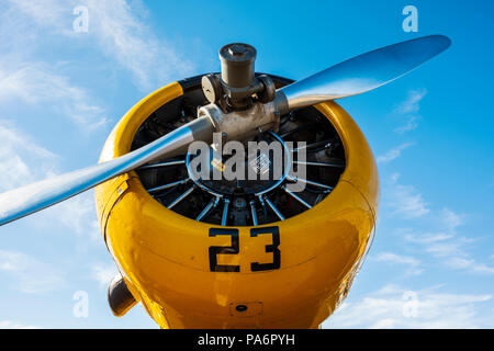 North American Aviation T-6 Texan; SNJ-5; Harriett Alexander Feld; Air Show; Salida, Colorado, USA Stockfoto