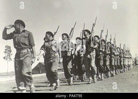 8 2-6 th Kavallerie Commando - 016 - auf Parade Stockfoto