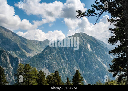 Schöne Aussicht auf die Wälder, Wasserfälle, Flüsse, Chalets und Tiere im Gressoney Tal im Aosta Tal, Norditalien. Stockfoto