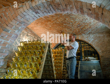 19.07.2018, Brandenburg, Biesenbrow: Mathias Tietze aus dem Landmanufaktur GmbH "konigin von Biesenbrow" steht in der Champagne Keller, wo der "Crémant nach reift die traditionelle Methode in Flaschengarung. Foto: Patrick Pleul/dpa-Zentralbild/ZB | Verwendung weltweit Stockfoto