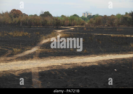 Wansted Wohnungen, Großbritannien: 20. Juli 2018: eine churred Wanstead Wohnungen, die Szene des 15. Juli Feuer, wo rund um die Fläche von 100 Fußballfeldern auf dem Feuerzeug verbrannt wurde - trockene Wohnungen. 225 Feuerwehrleute und 40 Feuerwehrfahrzeuge in Angriff genommen, um die Flamme in dem, was als der größte Gras Feuer, die jemals in der Hauptstadt gesehen beschrieben wurde. Quelle: David Mbiyu/Alamy leben Nachrichten Stockfoto