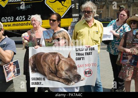 London, Großbritannien. 21. Juli 2018. Das alte Schloss Hof Westminster, Tierschützer, Das Ziel unserer Gruppe ist es, Besitzer von Hunden bedroht werden von den ungerechten Gesetz, das ist Rasse spezifische Rechtsvorschriften Beratung & Unterstützung zu bieten. Credit: Philip Robins/Alamy leben Nachrichten Stockfoto