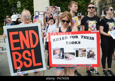 London, Großbritannien. 21. Juli 2018. Das alte Schloss Hof Westminster, Tierschützer, Das Ziel unserer Gruppe ist es, Besitzer von Hunden bedroht werden von den ungerechten Gesetz, das ist Rasse spezifische Rechtsvorschriften Beratung & Unterstützung zu bieten. Credit: Philip Robins/Alamy leben Nachrichten Stockfoto