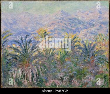 Palmen in Bordighera. Künstler: Claude Monet (Französisch, Paris 1840-1926 Giverny). Abmessungen: 25 1/2 x 32 in. (64,8 x 81,3 cm). Datum: 1884. Monet zum ersten Mal besuchte Italiens Südküste mit Renoir im Dezember 1883. Kurz danach kehrte er alleine zu malen, schreiben seine Händler, die "à deux" einschränken. Diese Szene und <i>Das Tal der Nervia</i> (30.95.251) spiegeln Monets Aufregung an den neuen Motiven von Palmen in der Region und die Berge angeboten. Für diese Ansicht, wagte er von seinem Hotel in Bordighera und schaute über die Bucht von Ventimiglia in Richtung der Alpen auf der Französisch Stockfoto