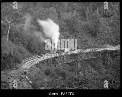 53 Höhepunkt Dampflok, Nummer 1650, schleppen Leere logging Wagen auf einen Eisenbahnviadukt in der Nähe von Ongarue ATLIB 292950 Stockfoto