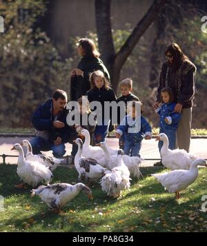 Kinder mit ihren Eltern Füttern der Enten. Ort: ZOO - Parque Zoológico, MADRID, SPANIEN. Stockfoto