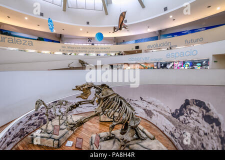 Naturwissenschaften Museum (Museo Provincial de Ciencias Naturales) Innenraum - Cordoba, Argentinien Stockfoto