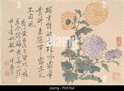 Chrysanthemen. Artist: Unbekannter Künstler; nach Yun Shouping (Chinesisch, 1633-1690). Kultur: China. Abmessungen: 11 7/8 x 8 1/8 in. (30,2 x 20,6 cm). Museum: Metropolitan Museum of Art, New York, USA. Stockfoto