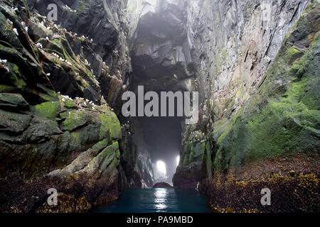 Geheimnisvolles Meer Höhle auf Yankicha Island Stockfoto