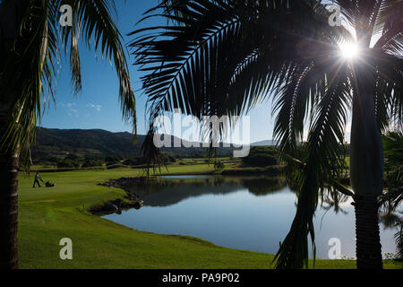Tropischen Golf Stockfoto