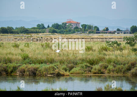 Salina di Cervia, Salzbergbau, Salzpfanne, süße Salz Stockfoto