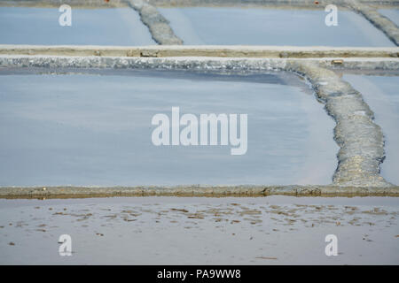 Salina di Cervia, Salzbergbau, Salzpfanne, süße Salz Stockfoto