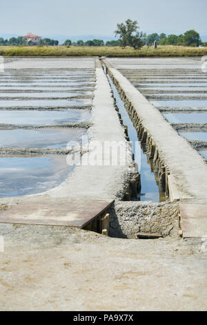 Salina di Cervia, Salzbergbau, Salzpfanne, süße Salz Stockfoto