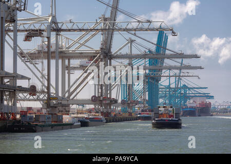 Container Terminal mit großen Kränen in Dutch Harbor Rotterdam Stockfoto