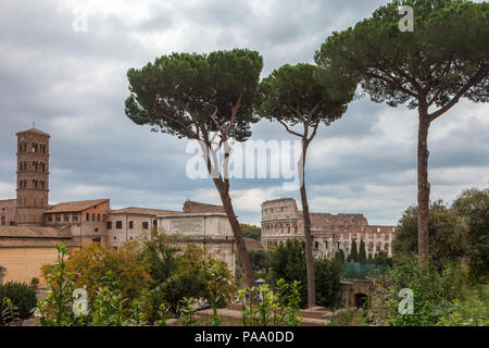 Blick auf das Forum Romanum vom Palatin. Rom, Italien. Stockfoto