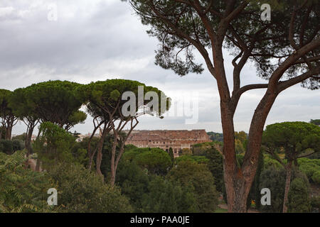 Blick auf Kolosseum von Palatin Hügel in Rom, Italien, Europa. Stockfoto